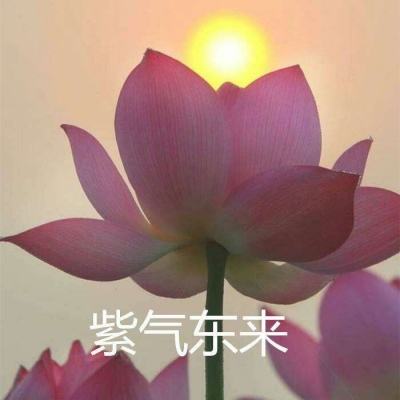 梦幻诛仙360版下载